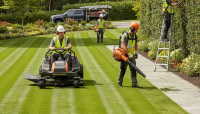 Tree service crew in Saugus, MA providing professional tree removal and yard cleanup