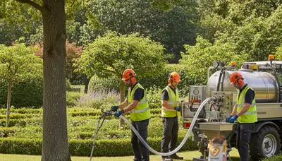 Tree fertilizing service in Saugus, MA to promote healthier, stronger trees