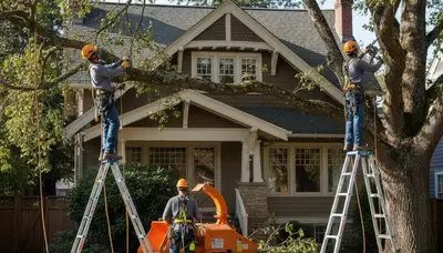 Tree removal crew in Saugus, MA providing professional tree service for local homeowners